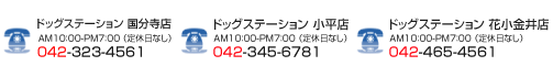 ɥåơʿŹ á042-345-6781ɥåơʬŹ á042-323-4561ɥåơ־Ź á042-465-4561