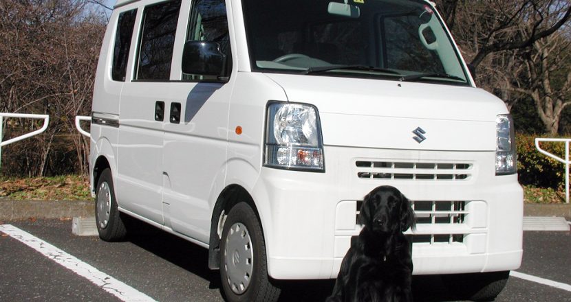 送迎車と犬