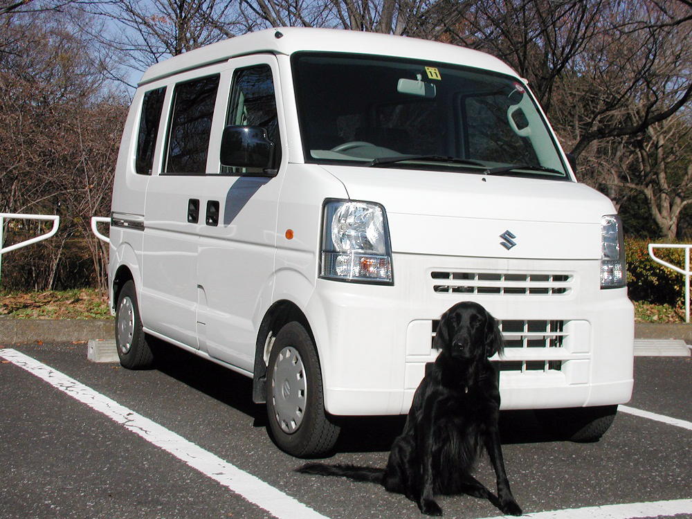 送迎車と犬