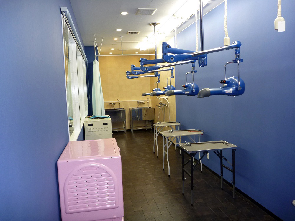ドッグサロンのグルーミングルーム